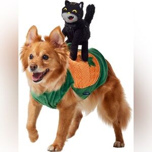 Frisco Pumpkin Cat Ride-On Dog & Cat Costume Size M NWT